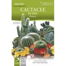 Кактуси Микс Cactaceae
