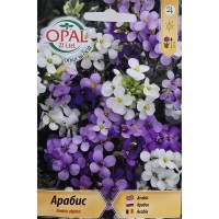 Арабис Arabis alpina