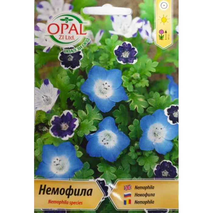 Немофила Микс Nemophila species