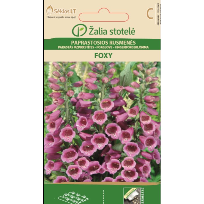 Напръсник Лилав Foxy Digitalis purpurea