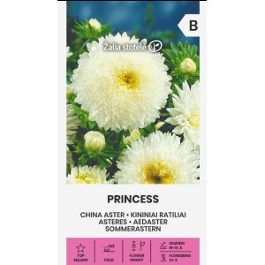 Астри Бяла Принцеса  Callistephus chinensis L Ness Princess