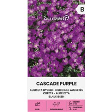 Аубриета Лилава Каскадна Aubrieta hybrida