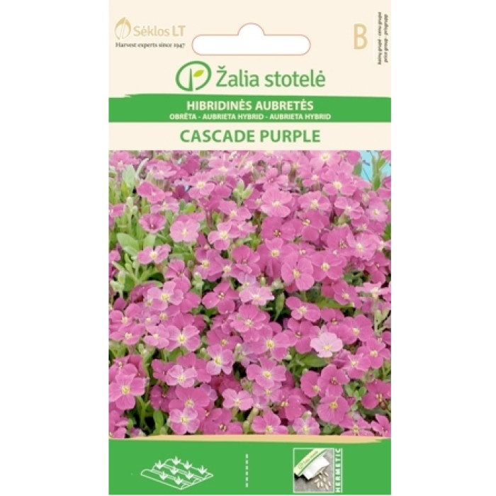 Аубриета Лилава Каскадна Aubrieta hybrida