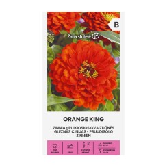 Циния оранжева Orange King Zinnia elegans dahlienflora