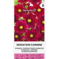 Космос Червен Cosmos Sensation Carmine