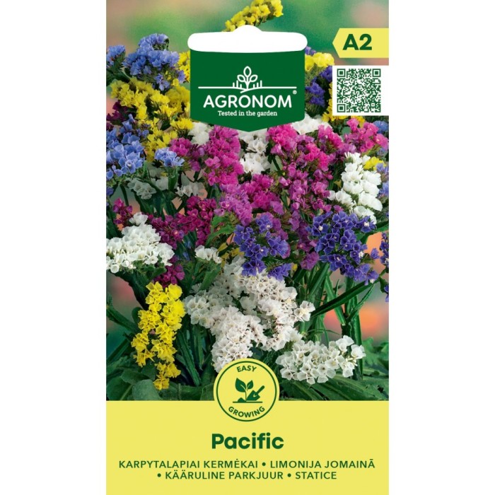 Лимониум Пасифик Limonium sinuatum Pacific