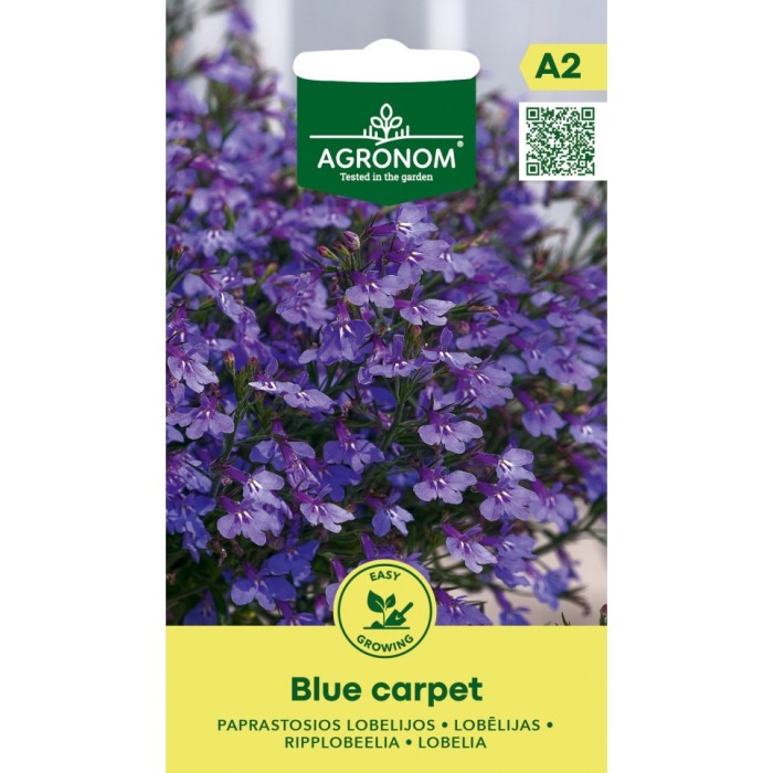 Лобелия Син килим Lobelia Blue carpet