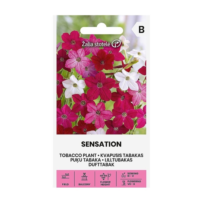 Никотиана (Тютюнево цвете) Микс Sensation Nicotiana alata Link et Otto