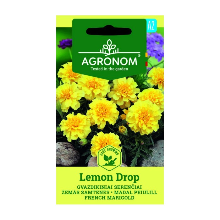 Тагетес Лимонена капка Tagetes patula Lemon Drop