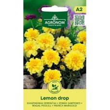 Тагетес Лимонена капка Tagetes patula Lemon Drop
