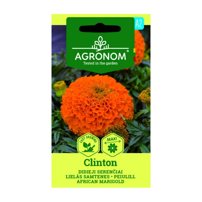 Тагетес Клинтон Tagetes Erecta Clinton