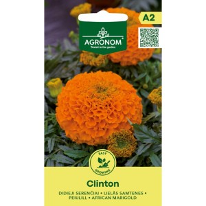 Тагетес Клинтон Tagetes Erecta Clinton