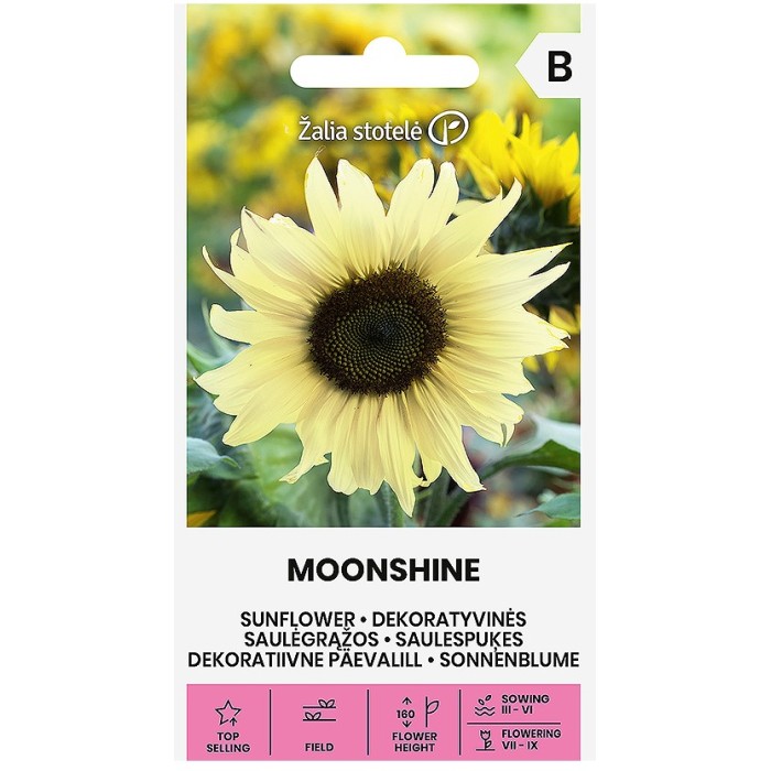 Декоративeн слънчоглед Лунен блясък Moonshine
