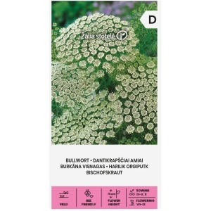 Епископска трева Bullwort Ammi visnaga