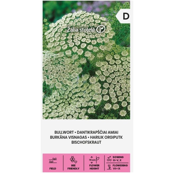 Епископска трева Bullwort Ammi visnaga