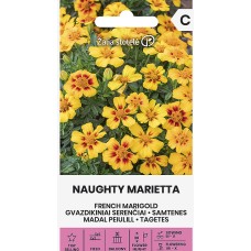 Тагетес Палава Мариета Tagetes patula Naughty Marietta