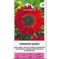 Хелиантус Червена Кралица Helianthus annuus Crimson Queen