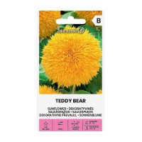 Хелиантус Теди Беър Helianthus annuus Teddy bear