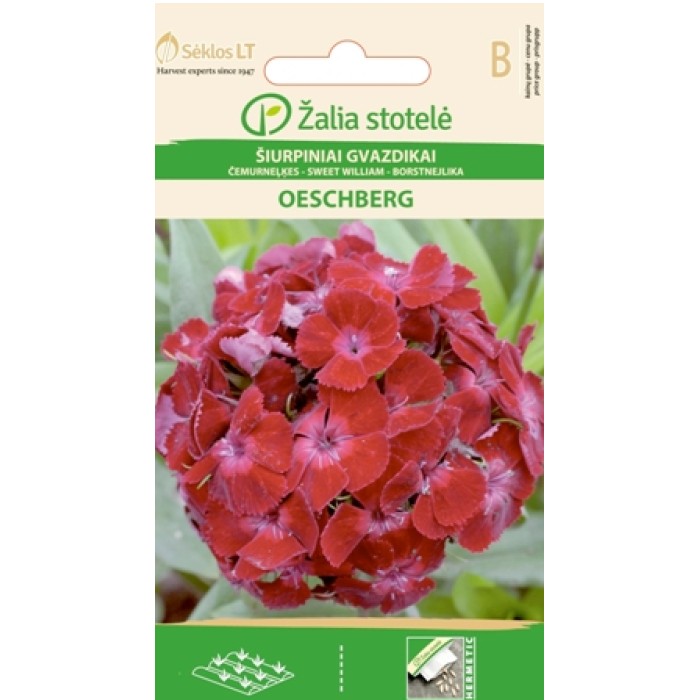 Карамфил Двоен Червен Dianthus barbatus Oeschberg