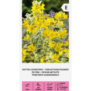 Лизимахия Жълта Точкова Lysimachia punctata