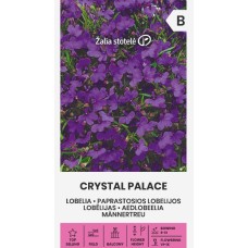 Лобелия Лилава Кристал Палас Crystal palace