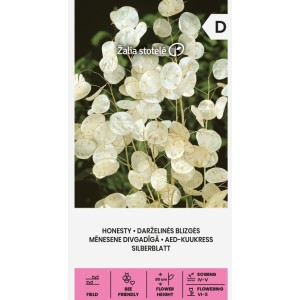 Лунария Сребърна пара Lunaria Biennis 