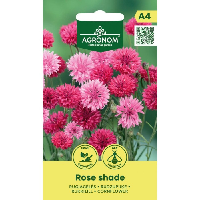 Метличина Розова Rose Shade
