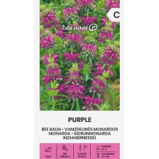 Монарда Лилава (ПЧЕЛЕН БАЛСАМ) Monarda fistulosa