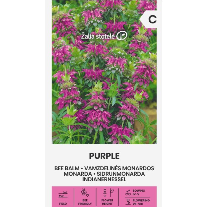 Монарда Лилава (ПЧЕЛЕН БАЛСАМ) Monarda fistulosa
