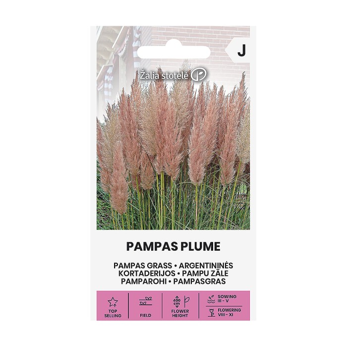 Пампаска трева Розова Cortaderia selloana Pampas plume