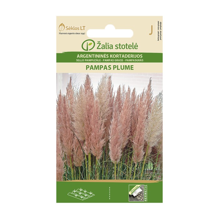 Пампаска трева Розова Cortaderia selloana Pampas plume