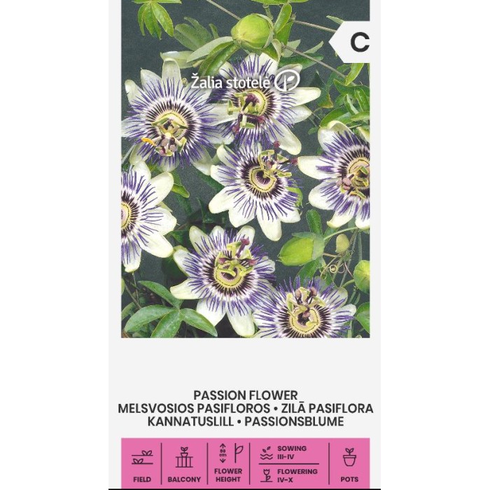 Пасифлора Passiflora caerulea