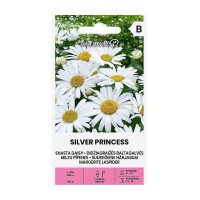 Голяма Маргаритка Сребърна принцеса Leucanthemum maximum