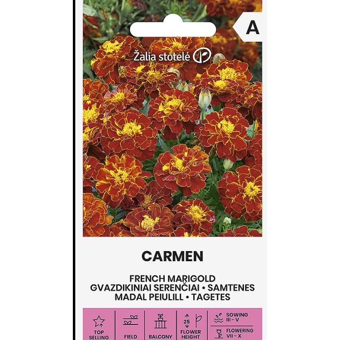 Тагетес Кармен Tagetes patula Carmen