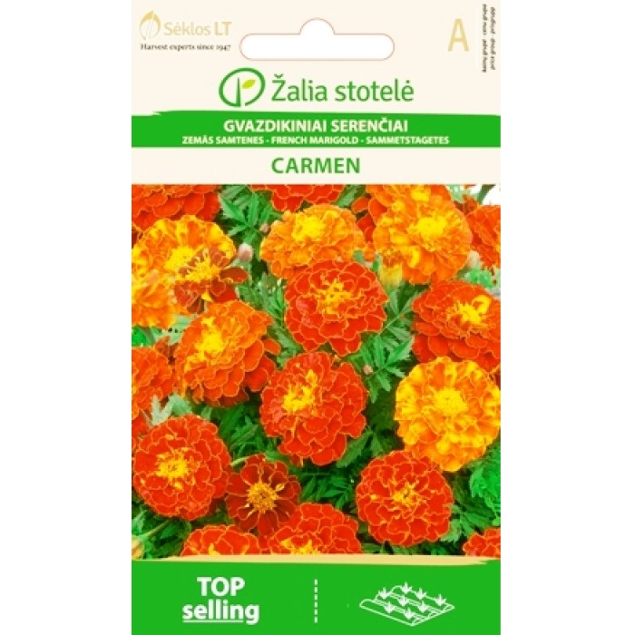 Тагетес Кармен Tagetes patula Carmen