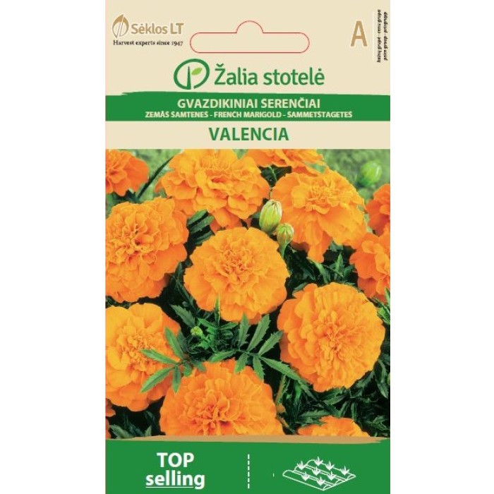 Тагетес Валенсия Tagetes patula Valencia