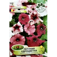 Петуния едроцветна Petunia x hybrida Superbissima