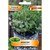 Анасон Pimpinella anisum