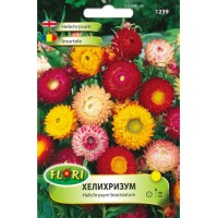 Хелихризум