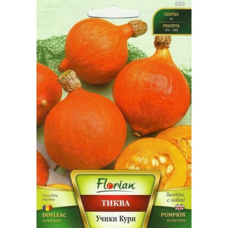 Тиква Учики Кури
