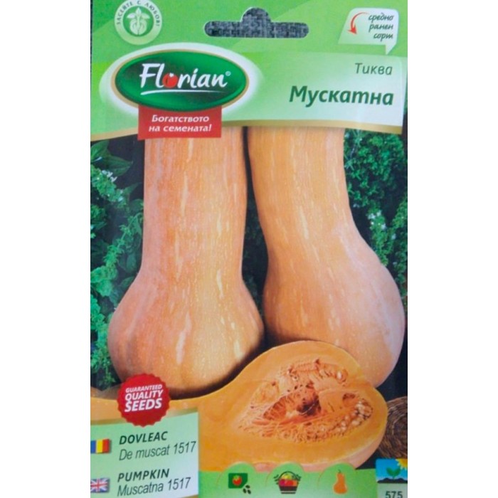 Тиква Mускатна (оребрена виола)