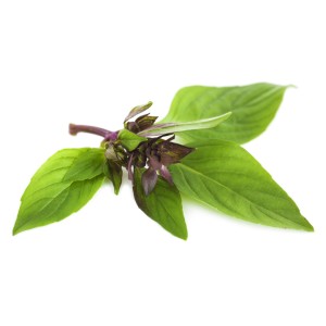Босилек Анасонов Basilico Liquirizia
