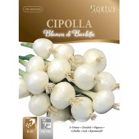 Бял лук Барлета Cipolla blanca di Barletta