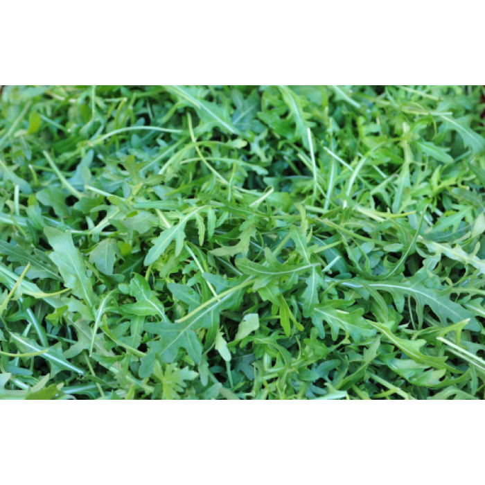Дива Рукола Rucola Selvatica