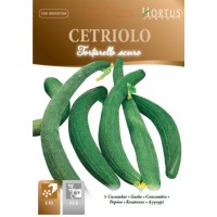 Краставици тип Крокодилки Тъмни Tortarello scuro