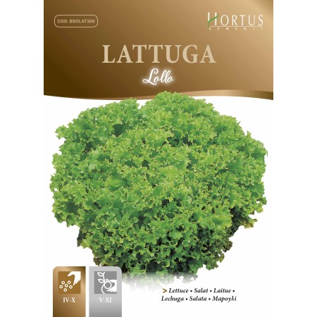 Маруля Лолло Lollo