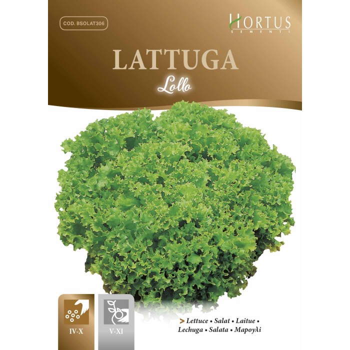 Маруля Лолло Lollo