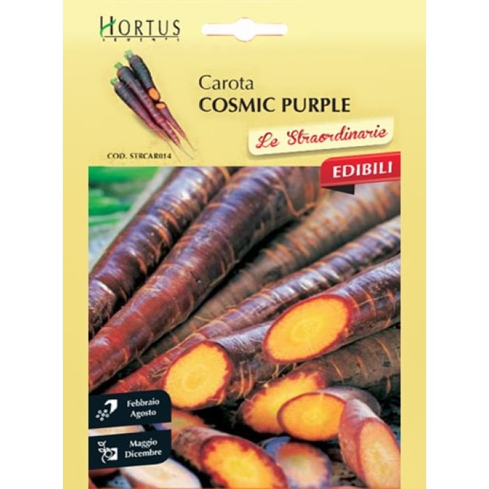 Морков Лилав космик Cosmic Purple