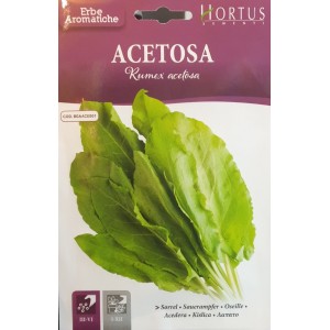 Семена от Киселец Rumex acetosa