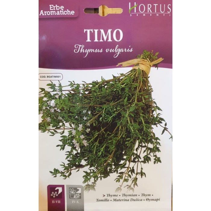 Семена от Мащерка Thymus vulgaris